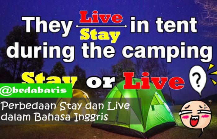 Perbedaan Stay dan Live dalam Bahasa Inggris