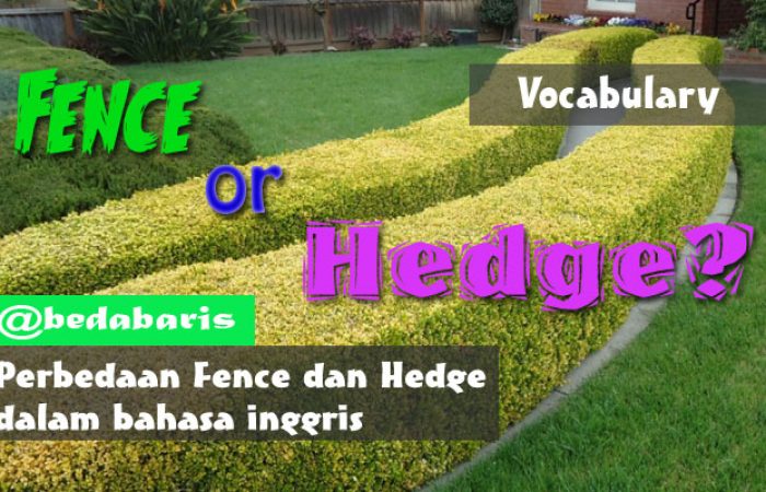 Perbedaan Fence dan Hedge dalam bahasa inggris