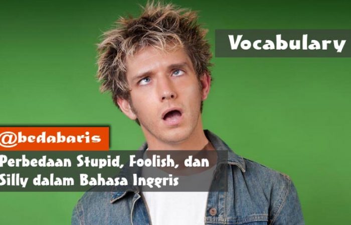 Perbedaan Stupid, Foolish, dan Silly dalam Bahasa Inggris